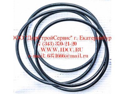Кольцо уплотнительное ø338х3.55 гидромуфты ГТР CDM 833 Lonking CDM (СДМ) ø338х3.55 фото 1 Ангарск