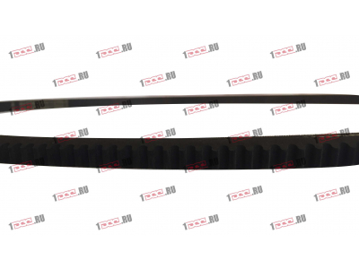 Ремень 13х1250 ЕВРОПА 13x1250 фото 1 Ангарск